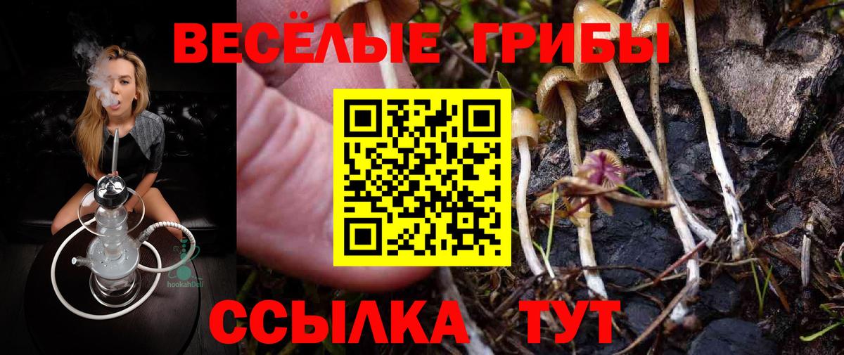 Галлюциногенные грибы Psilocybine cubensis Верхняя Салда